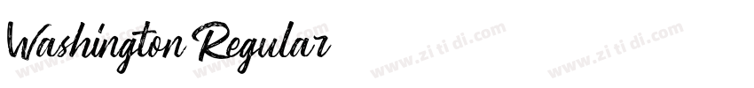 Washington Regular字体转换